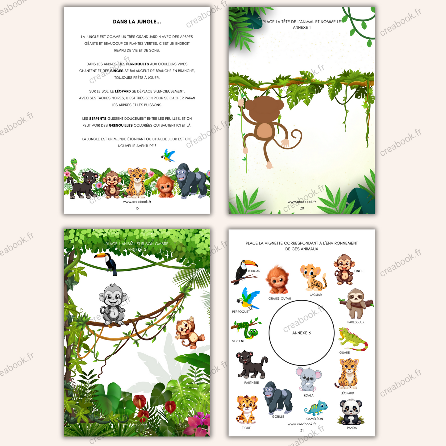 Les Animaux N°1 PDF